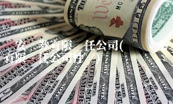 华安证券有限责任公司(华鑫证券有限责任公司性质)