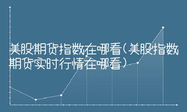 美股期货指数在哪看(美股指数期货实时行情在哪看)