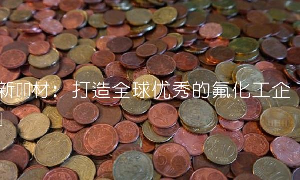 新莱应材：打造全球优秀的氟化工企业