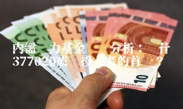 内需动力基金净值分析：为什么377020成为投资者的首选？