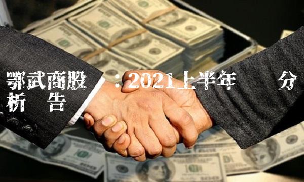 鄂武商股吧：2021上半年业绩分析报告