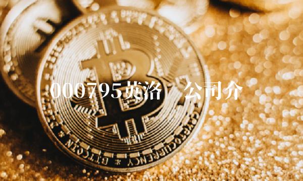 000795英洛华公司介绍