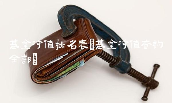 基金净值排名表(基金净值查询全部)