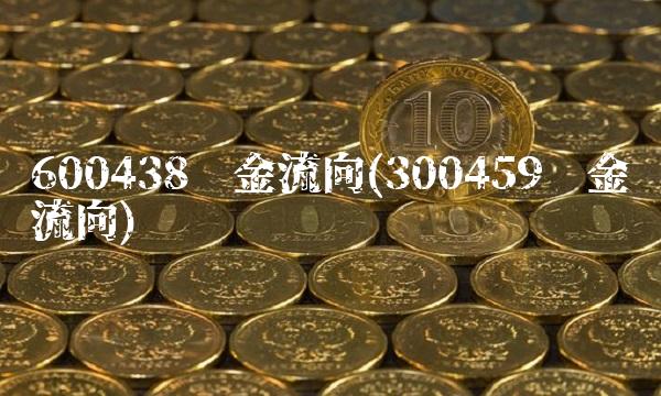 600438资金流向(300459资金流向)