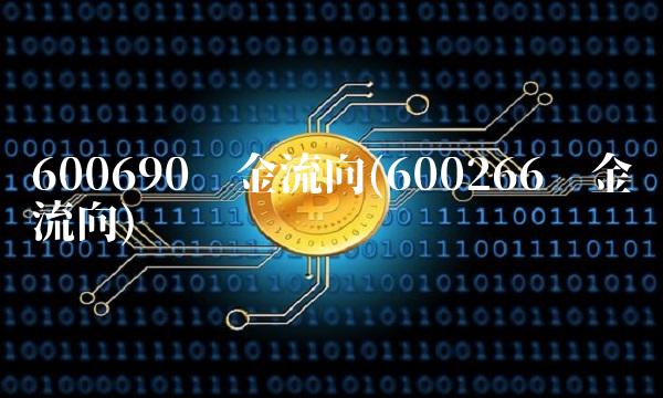 600690资金流向(600266资金流向)