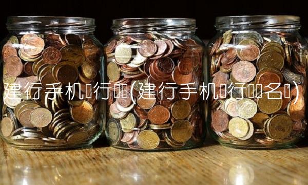 建行手机银行转账(建行手机银行转账名册)