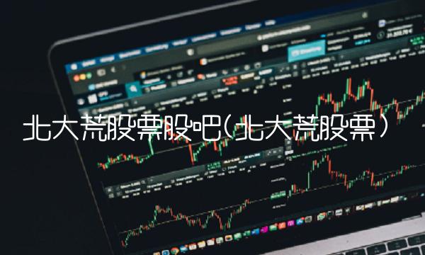 北大荒股票股吧(北大荒股票)