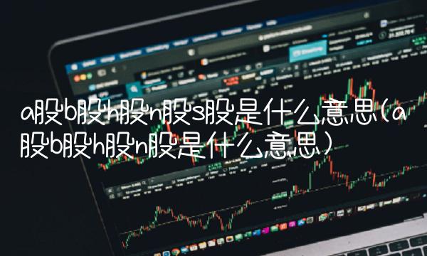 a股b股h股n股s股是什么意思(a股b股h股n股是什么意思)