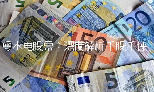 粤水电股票：深度解析千股千评