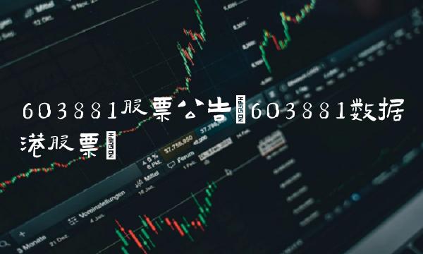 603881股票公告(603881数据港股票)