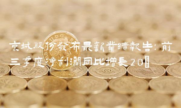 京城股份发布最新业绩报告：前三季度净利润同比增长20%