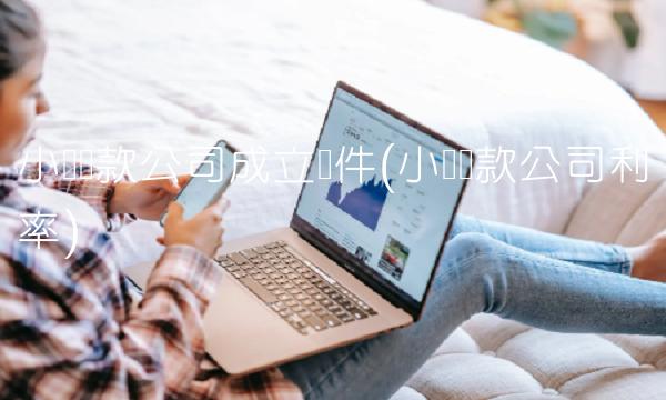 小额贷款公司成立条件(小额贷款公司利率)