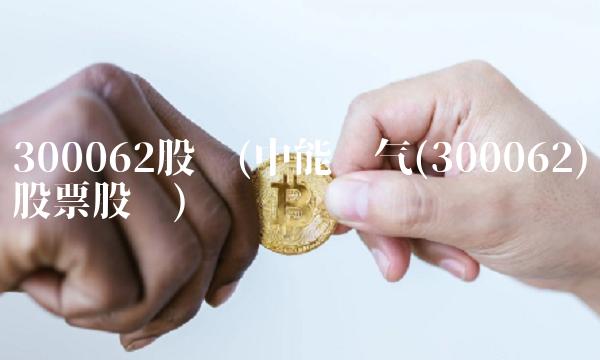 300062股吧(中能电气(300062)股票股吧)