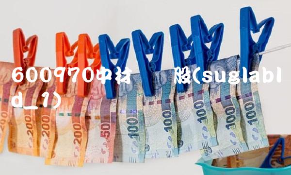 600970中材国际股(suglabId_1) 600970中材国际股(suglabId_1)
