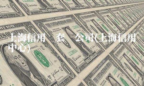 上海信用卡套现公司(上海信用卡中心)