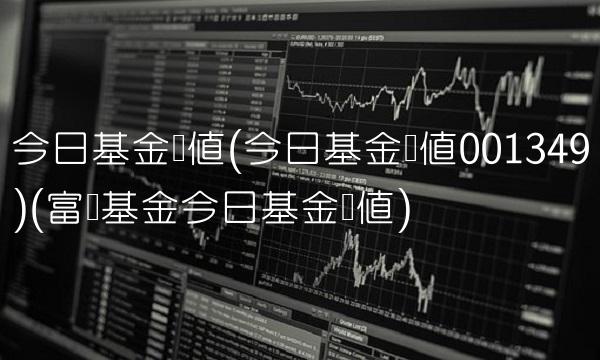今日基金净值(今日基金净值001349)(富国基金今日基金净值)