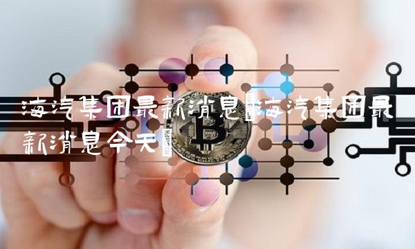 海汽集团最新消息(海汽集团最新消息今天)