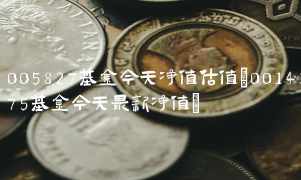 005827基金今天净值估值(001475基金今天最新净值)