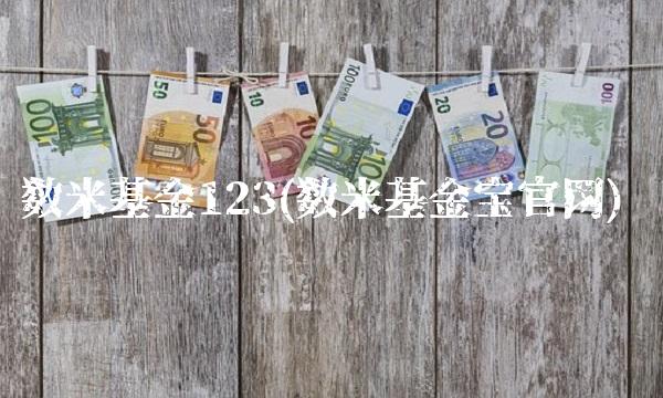 数米基金123(数米基金宝官网)