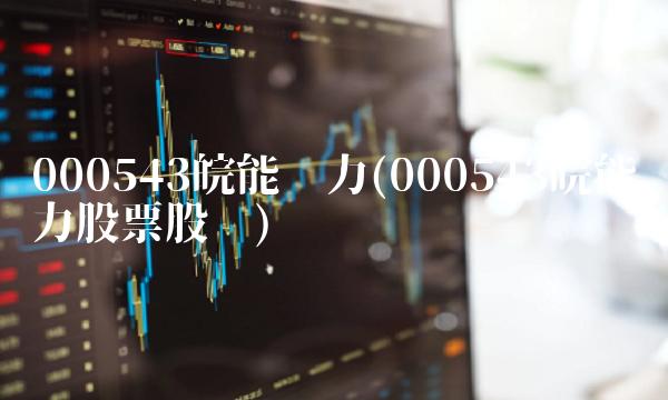 000543皖能电力(000543皖能电力股票股吧)
