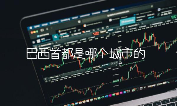 巴西首都是哪个城市的(1)