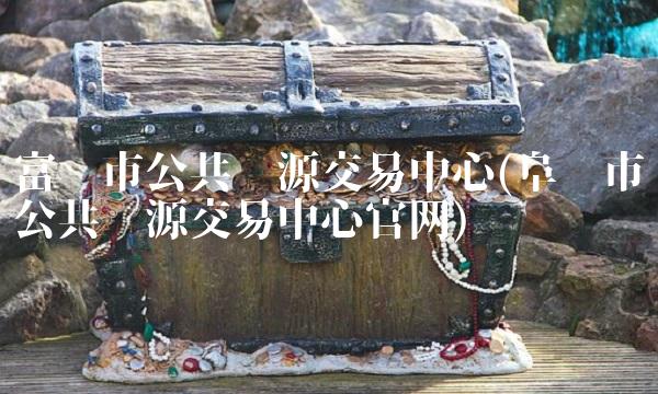 富阳市公共资源交易中心(阜阳市公共资源交易中心官网)