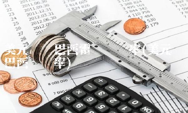 美元兑换巴西雷亚尔汇率(美元兑换巴西币汇率)