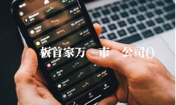 创业板首家万亿市值公司()