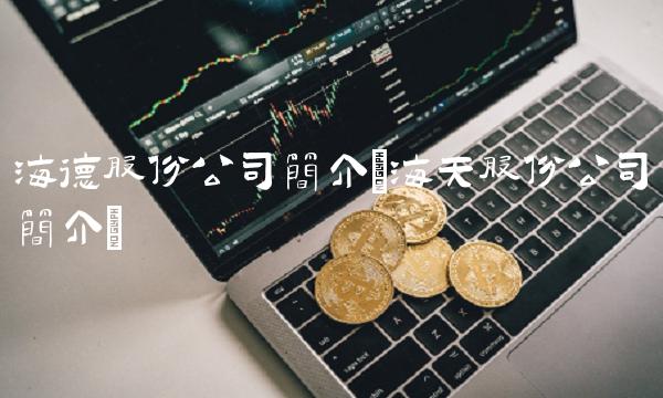 海德股份公司简介(海天股份公司简介) 海德股份公司简介(海天股份公司简介)