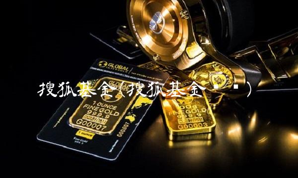 搜狐基金(搜狐基金净值)