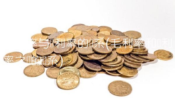 毛利率与净利率的关系(毛利率和净利率之间的关系)