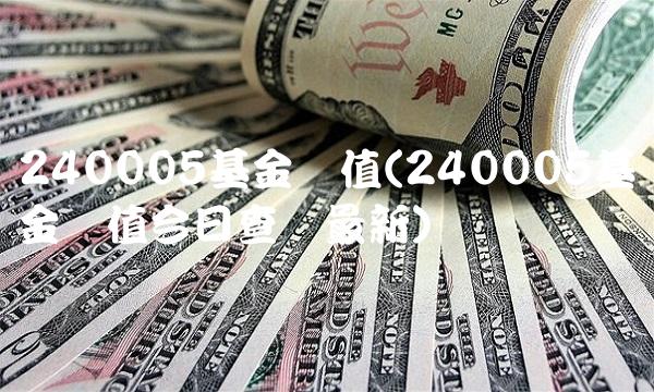 240005基金净值(240005基金净值今日查询最新)
