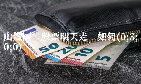 山煤国际股票明天走势如何(0;3;0;0)