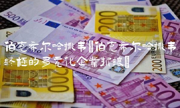 伯克希尔哈撒韦(伯克希尔哈撒韦终极的多元化企业折让) 伯克希尔哈撒韦(伯克希尔哈撒韦终极的多元化企业折让)