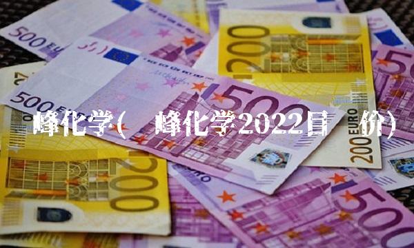 华峰化学(华峰化学2022目标价)