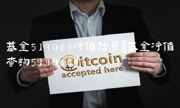 基金519069净值估算(基金净值查询519066)
