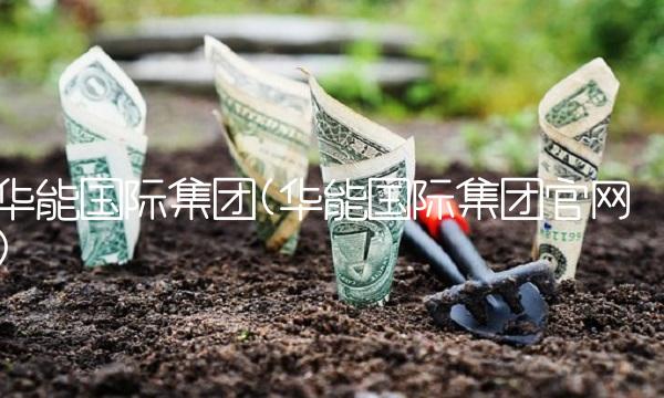 华能国际集团(华能国际集团官网)