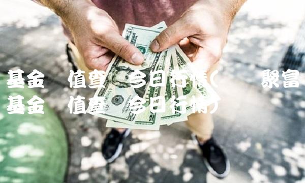 基金净值查询今日行情(广发聚富基金净值查询今日行情)(1)