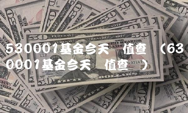 530001基金今天净值查询(630001基金今天净值查询)