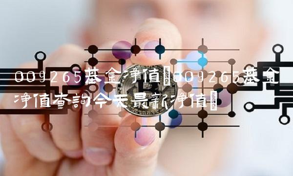 009265基金净值(009265基金净值查询今天最新净值)