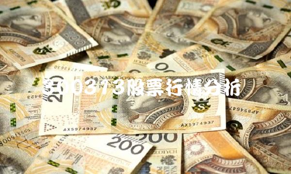 300313股票行情分析
