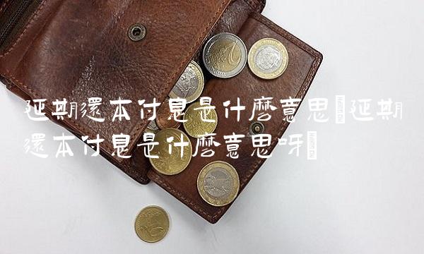 延期还本付息是什么意思(延期还本付息是什么意思呀)(1)