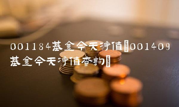 001184基金今天净值(001409基金今天净值查询)