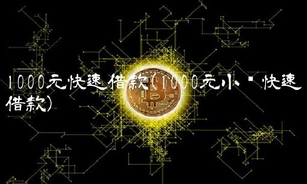 1000元快速借款(1000元小额快速借款)