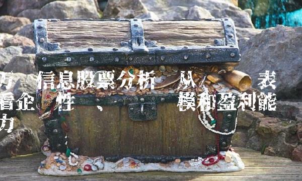 万达信息股票分析——从财务报表看企业性质、经营规模和盈利能力