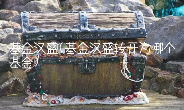 基金汉盛(基金汉盛转开为哪个基金)