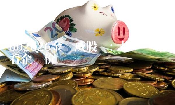 002626金达威股吧 从财务指标看企业价值