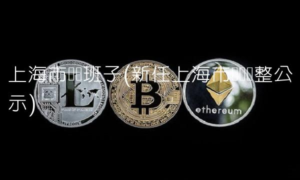 上海市领导班子(新任上海市领导调整公示)(1)