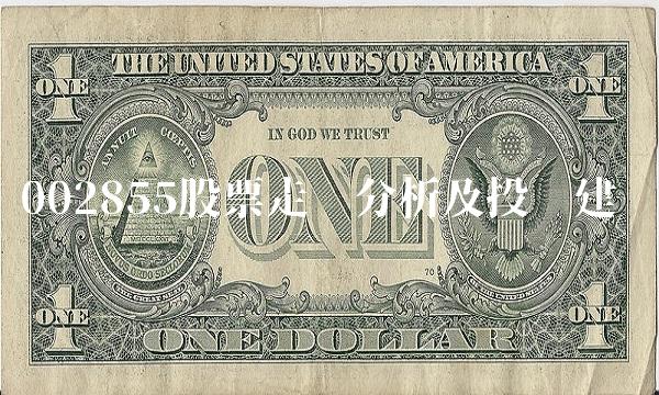 002855股票走势分析及投资建议(1)