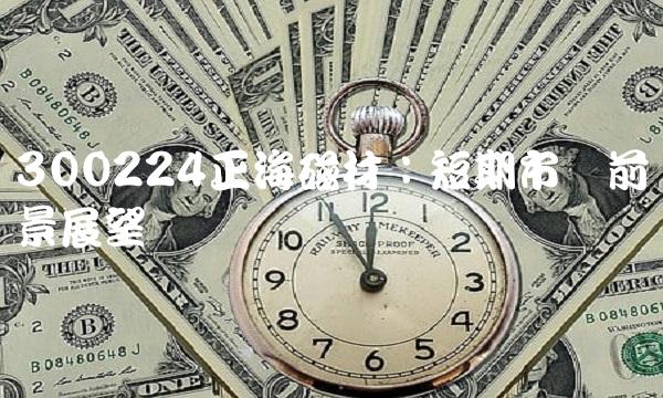 300224正海磁材：短期市场前景展望